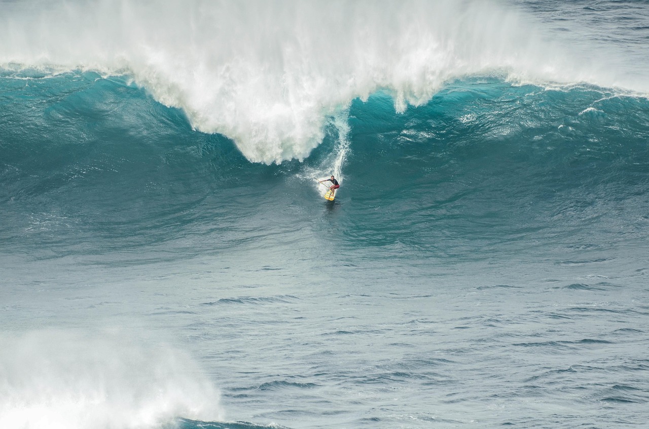 Arugam Bay Surf & East Coast